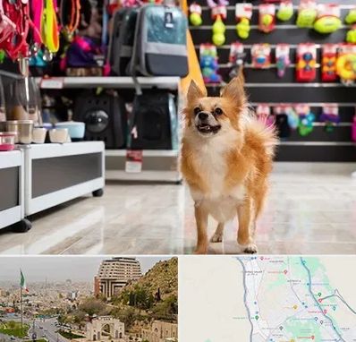 فروشگاه لوازم سگ در فرهنگ شهر شیراز