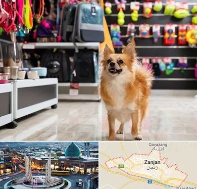 فروشگاه لوازم سگ در زنجان