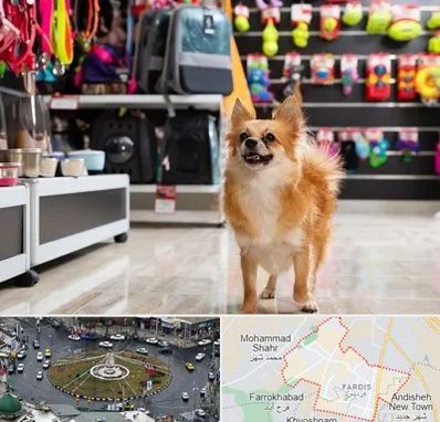فروشگاه لوازم سگ در فردیس کرج