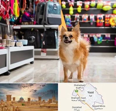 فروشگاه لوازم سگ در یزد