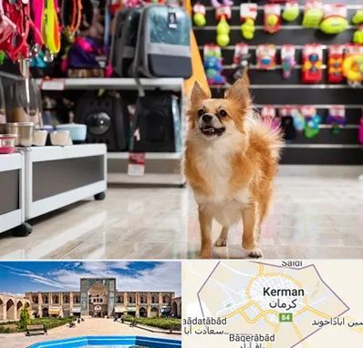 فروشگاه لوازم سگ در کرمان