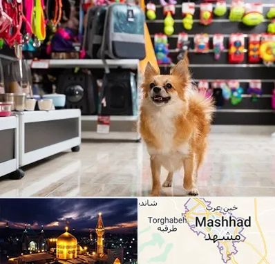 فروشگاه لوازم سگ در مشهد