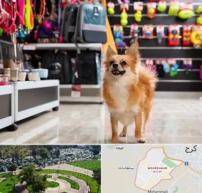 فروشگاه لوازم سگ در مهرشهر کرج