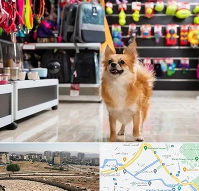 فروشگاه لوازم سگ در کوی وحدت شیراز