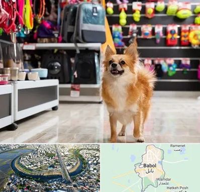 فروشگاه لوازم سگ در بابل