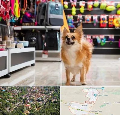 فروشگاه لوازم سگ در دماوند