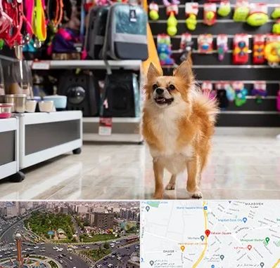 فروشگاه لوازم سگ در سبلان