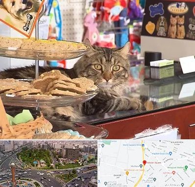 فروشگاه لوازم گربه در سبلان
