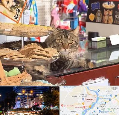 فروشگاه لوازم گربه در کیانپارس اهواز