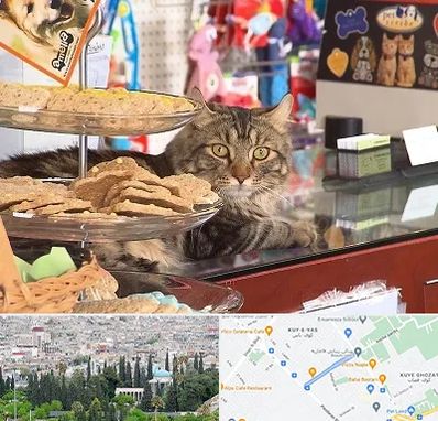 فروشگاه لوازم گربه در محلاتی شیراز