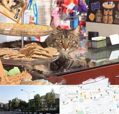 فروشگاه لوازم گربه در میدان کاج