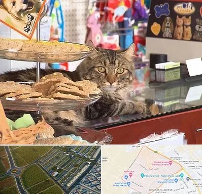 فروشگاه لوازم گربه در الهیه مشهد