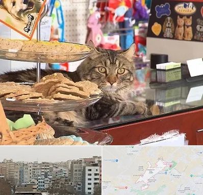 فروشگاه لوازم گربه در محمد شهر کرج