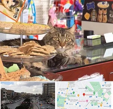 فروشگاه لوازم گربه در بلوار فردوسی مشهد