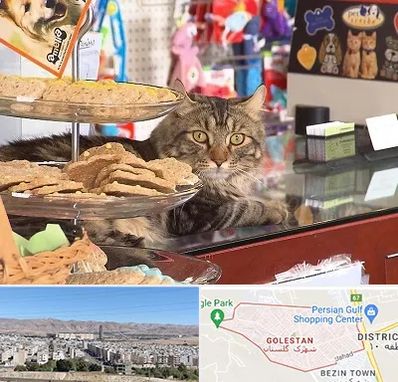 فروشگاه لوازم گربه در شهرک گلستان شیراز
