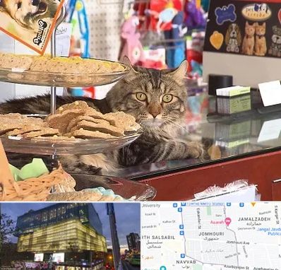 فروشگاه لوازم گربه در جمهوری 