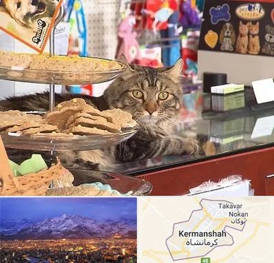 فروشگاه لوازم گربه در کرمانشاه