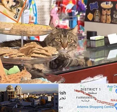 فروشگاه لوازم گربه در فرمانیه