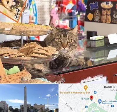 فروشگاه لوازم گربه در فلکه گاز شیراز