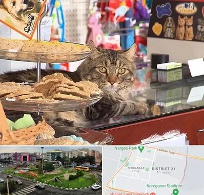 فروشگاه لوازم گربه در تهرانسر 