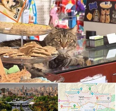فروشگاه لوازم گربه در منطقه 1 تهران