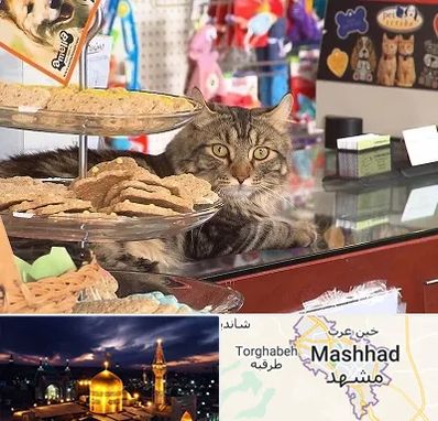 فروشگاه لوازم گربه در مشهد