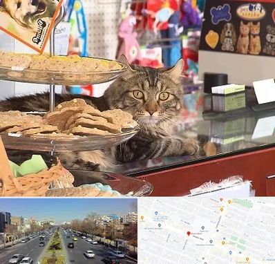 فروشگاه لوازم گربه در بلوار معلم مشهد