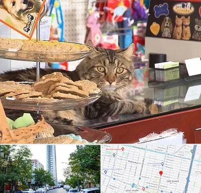 فروشگاه لوازم گربه در امامت مشهد