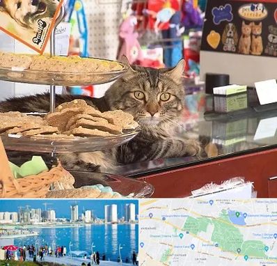 فروشگاه لوازم گربه در چیتگر 