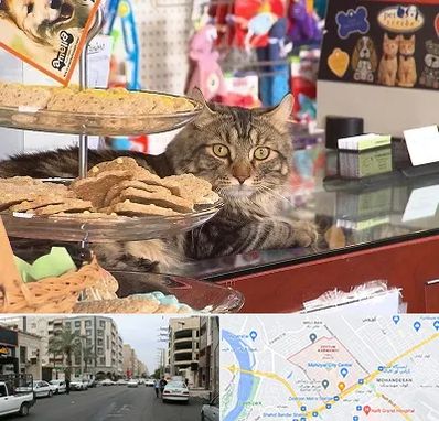 فروشگاه لوازم گربه در زیتون کارمندی اهواز