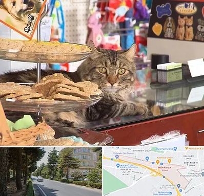 فروشگاه لوازم گربه در مهرویلا کرج
