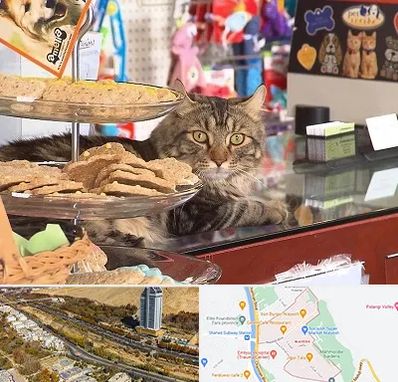 فروشگاه لوازم گربه در خیابان نیایش شیراز