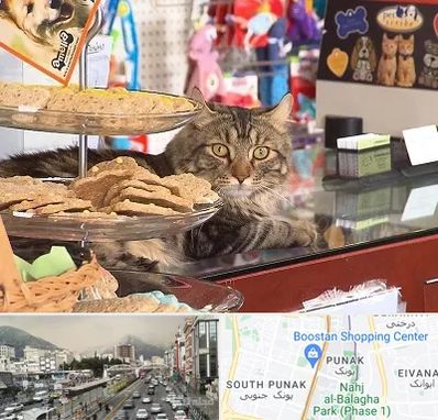 فروشگاه لوازم گربه در پونک 