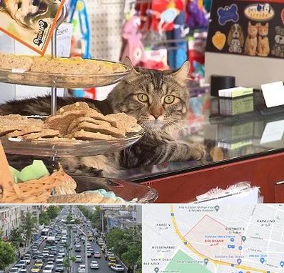 فروشگاه لوازم گربه در گلشهر کرج
