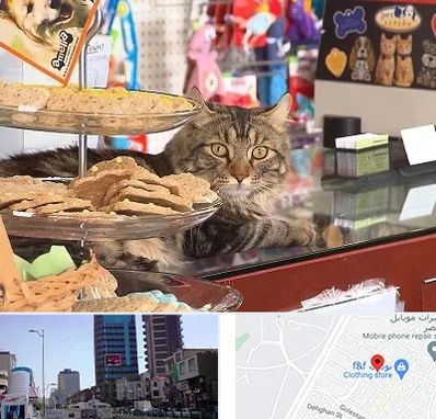 فروشگاه لوازم گربه در چهارراه طالقانی کرج