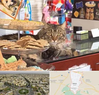 فروشگاه لوازم گربه در قزوین