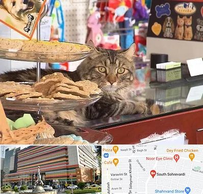 فروشگاه لوازم گربه در سهروردی