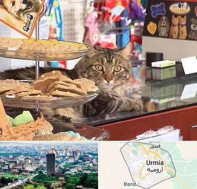 فروشگاه لوازم گربه در ارومیه
