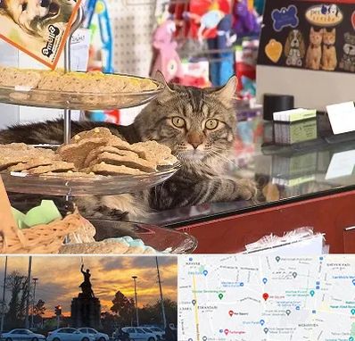 فروشگاه لوازم گربه در میدان حر
