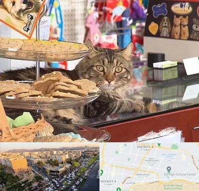 فروشگاه لوازم گربه در تهرانپارس 