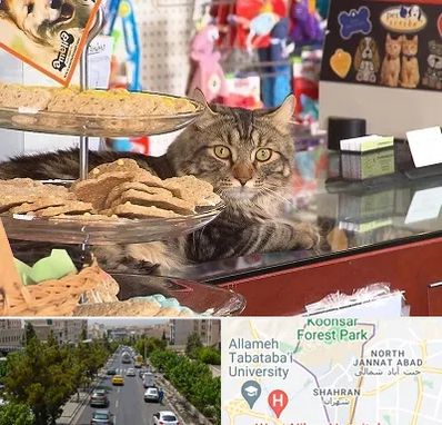 فروشگاه لوازم گربه در شهران 