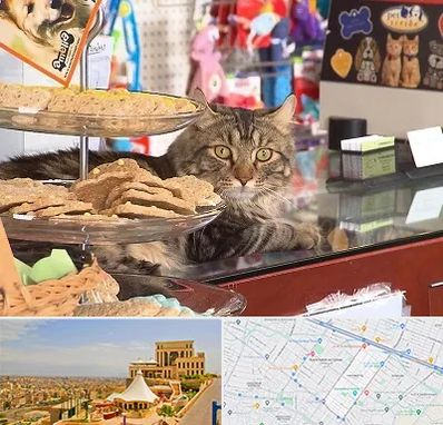 فروشگاه لوازم گربه در هاشمیه مشهد