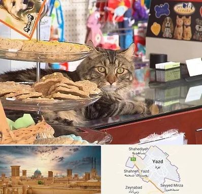 فروشگاه لوازم گربه در یزد