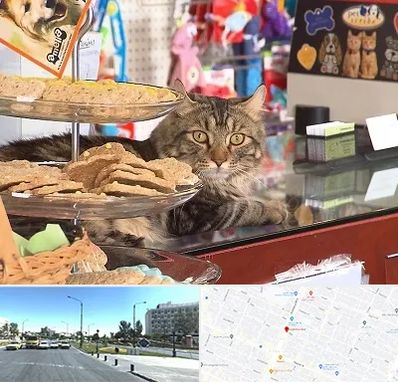 فروشگاه لوازم گربه در بلوار کلاهدوز مشهد