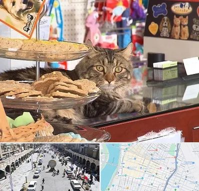 فروشگاه لوازم گربه در نادری اهواز