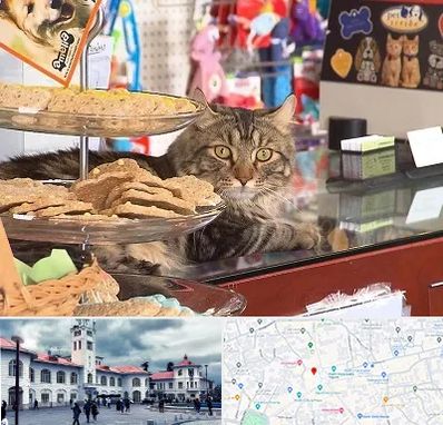 فروشگاه لوازم گربه در میدان شهرداری رشت