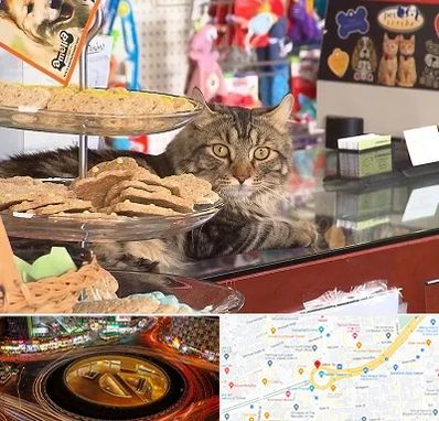 فروشگاه لوازم گربه در میدان ولیعصر