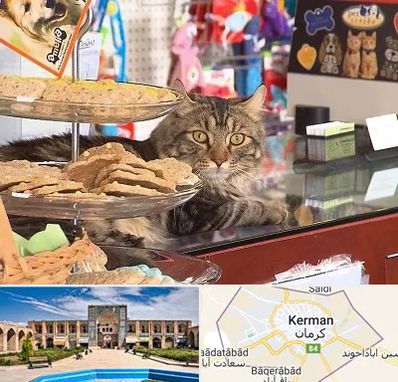 فروشگاه لوازم گربه در کرمان