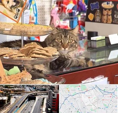 فروشگاه لوازم گربه در ستارخان شیراز