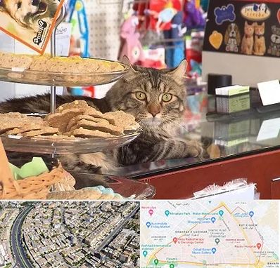 فروشگاه لوازم گربه در شهرک غرب مشهد